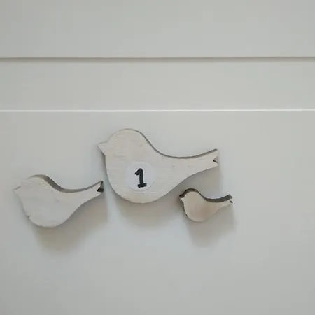 Goettliche Vogelstimmen Gaeste Aus 60 Nationen *